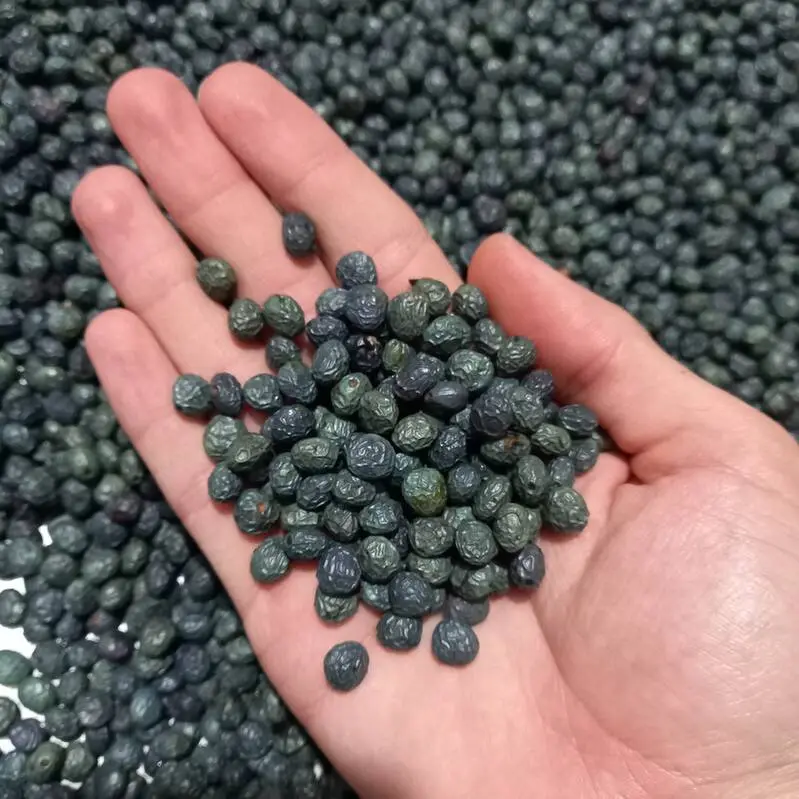 گیاه کلخنگ برای لک صورت